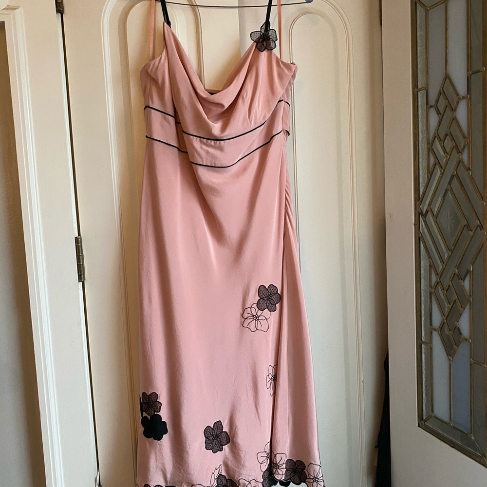 Express blush dress with black embroidered flowers